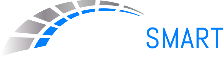 DriveSmart Motor Group